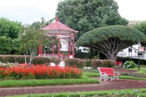 Jardim de Florencio Terra (Foto: Eichner-Ramm)