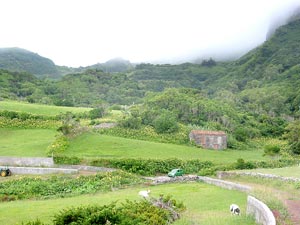 Sattes Grün unten, Nebel oben: Landschaft bei Costa (Foto: Eichner-Ramm)