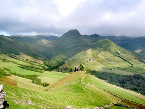 Sattgrüne Aussicht: Ostflanke von Flores (Foto: Eichner-Ramm)