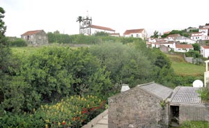 Kirche und Palme überragen das Örtchen Lomba (Foto: Eichner-Ramm)