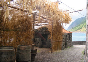 In der Fajã São João (Foto: Eichner-Ramm)