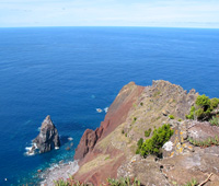 Steilküste an der Ponta dos Rosais (Foto: Eichner-Ramm)
