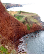 Küste bei Topo (Foto: Eichner-Ramm)