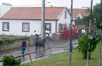 »Stierkampf am Strick«: »Tourada à Corda« in Santo Antão (Foto: Eichner-Ramm)