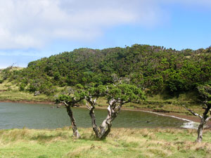 Der Lagoa do Capitão. (Foto: Eichner-Ramm)