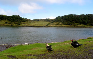 Idylle am Lagoa do Capitão (Foto: Eichner-Ramm)