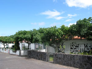 Dorfstraße im Weinbaugebiet Verdelho (Foto: Eichner-Ramm)