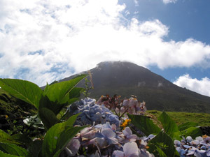 Der mit 2351 Meter höchste Berg Portugals gab der Insel Pico ihren Namen. (Foto: Eichner-Ramm)