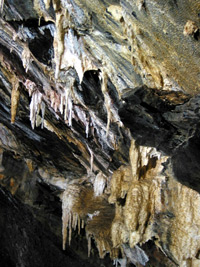 In der Algar do Carvão befindet man sich im Innern eines Vulkanschlotes (Foto: Eichner-Ramm)