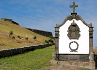 Am Hang des Monte Brasil (Foto: Eichner-Ramm)