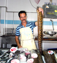 Fischverkäufer in der Markthalle (Foto: Eichner-Ramm)