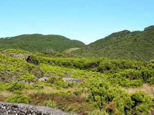 Die Umgebung der Algar do Carvão ist Naturschutzgebiet (Foto: Eichner-Ramm)