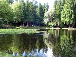 Am Lagoa das Patas befindet sich ein großes Picknickgelände (Foto: Eichner-Ramm)