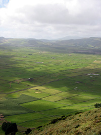 Von der Serra do Cume blickt man hinunter auf Felder-Geometrie (Foto: Eichner-Ramm)