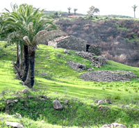 Üppiges Grün mit Natursteinhaus bei Las Hayas