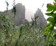 Wahrzeichen von Hermigua: Zwillingsfelsen Roques de San Pedro