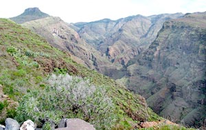 Blick in den Barranco Erque mit dem Tafelberg La Fortaleza im Hintergrund