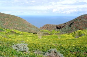 Terrassenfelder mit Aussicht bei Chinamada