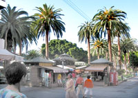 Plaza del Charco in Puerto de la Cruz