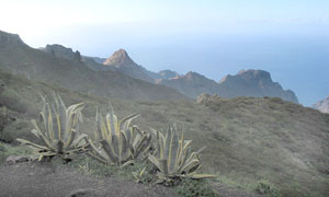Landschaft im Bereich La Culata