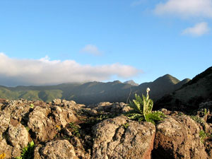 Weitgehend unberührte Landschaft: Teno-Gebirge im Abendlicht