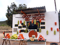 Farmverkauf am Straßenrand (Foto: Eichner-Ramm)