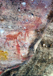 Buschmann-Zeichnung in den Felsen am Sevilla-Rock-Art-Trail; (Foto: Eichner-Ramm)