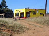 »Lunch Bar« (Foto: Eichner-Ramm)