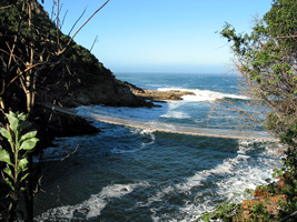 Hängebrücke an der Mündung des Storms River im Tsitsikamma Nationalpark (Foto: Eichner-Ramm)