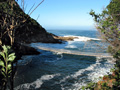 Hängebrücke am Storms River Mouth im Tsitsikamma-Nationalpark