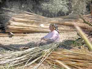 Traditionelles Handwerk: Im Hinterland der Halbinsel Bodrum wird es noch gepflegt Traditionelles Handwerk: Im Hinterland der Halbinsel Bodrum wird es noch gepflegt