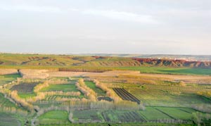 Plantagen südlich von Diyarbakir