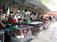 Markt in Vietnams Hauptstadt Hanoi
